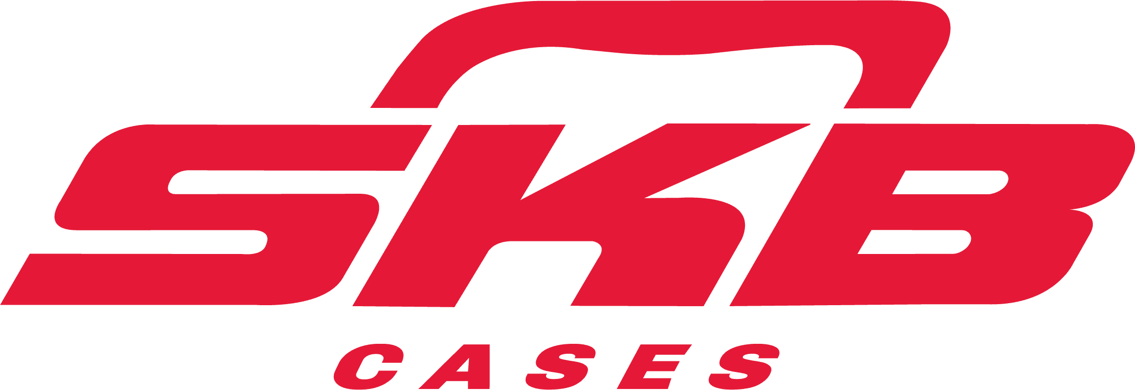 SKB Cases